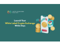 launch-your-crypto-exchange-in-days-with-experts-small-0
