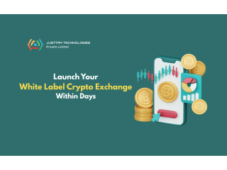 Launch Your Crypto Exchange in Days with Experts