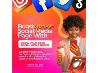 Japa to Success: The Only Service You Need to "Blow" Your Nigerian Business