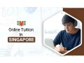 online-tuition-singapore-learn-smarter-with-expert-tutors-at-ziyyara-small-0